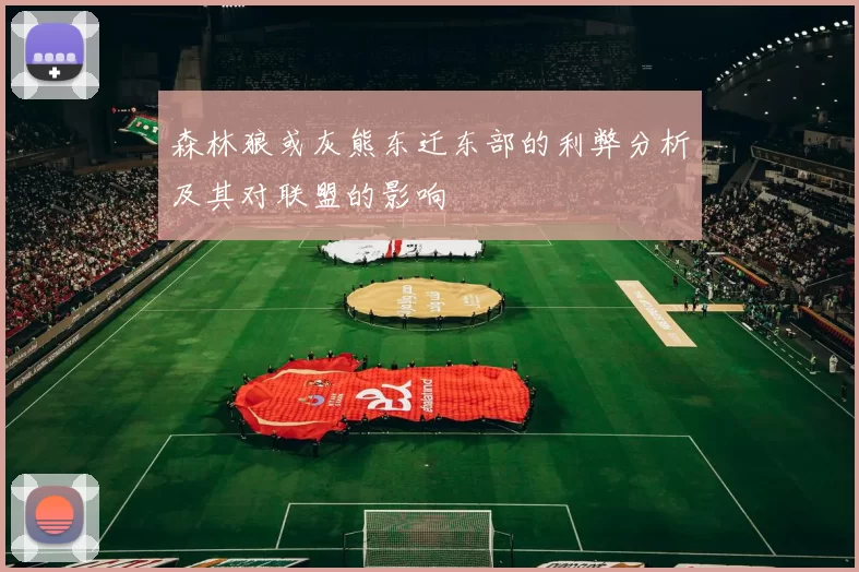 森林狼或灰熊东迁东部的利弊分析及其对联盟的影响