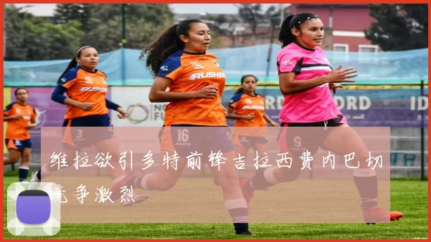 维拉欲引多特前锋吉拉西费内巴切竞争激烈