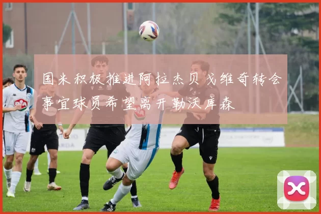 国米积极推进阿拉杰贝戈维奇转会事宜球员希望离开勒沃库森